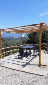 83d4d2d5-0c01-4e56-a8d4-96edb667e2f2 2