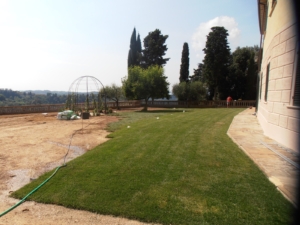 WhatsApp Image 2025-04-29 at 14.10.44 (6)