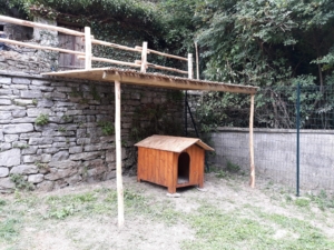 e57ad34c-22d7-4cf7-ab62-e1002ddde304 2