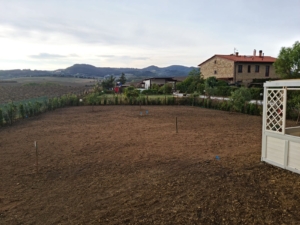 13075900-daf6-459c-a640-25a4b9a4a723 2