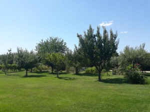 416a1c5b-9068-4458-a8da-1ad6c0e6af62 3